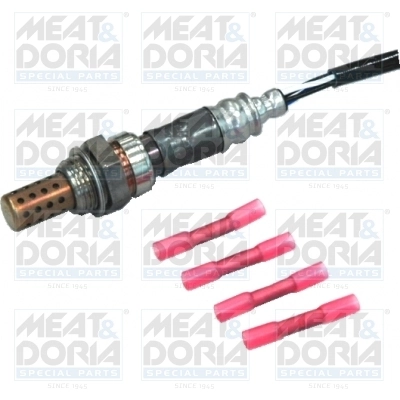 Oxygen Sensor